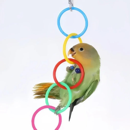 Colorful Plastic Bird Cage Hanging Ring Toy – Interactive Climbing & Swing Toy for Parrots and Small Birds, Boredom Relief Accessory