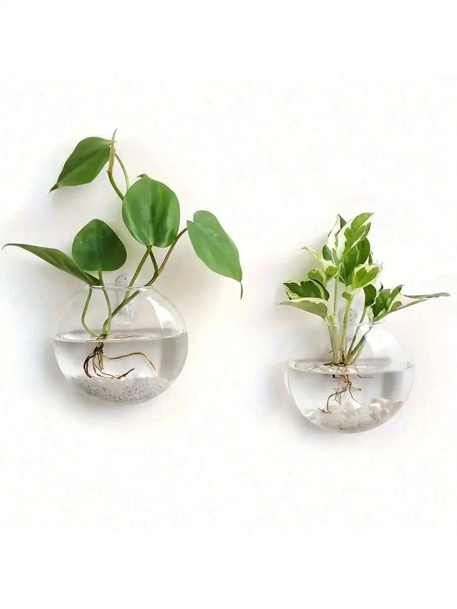 Wall Hanging Glass Terrarium Planter – Self-Watering Hydroponic Crystal Vase for Home & Office Décor (2/4/6 Pack)