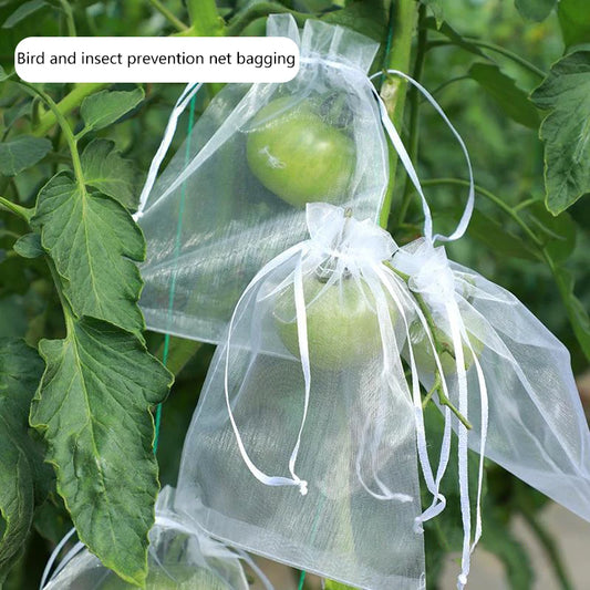 50 Bolsas Protectoras para Uvas y Frutas – Cubiertas de Malla Antiaves para Uvas, Plantas de Jardín, Control de Plagas, Protección de Árboles Frutales y Suministros de Jardinería Agrícola