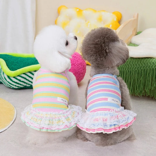 Vestido de verano para cachorros lindos para perros y gatos pequeños – Ropa de encaje a rayas para mascotas, camiseta y falda para perras Chihuahua, Yorkie, Bichon