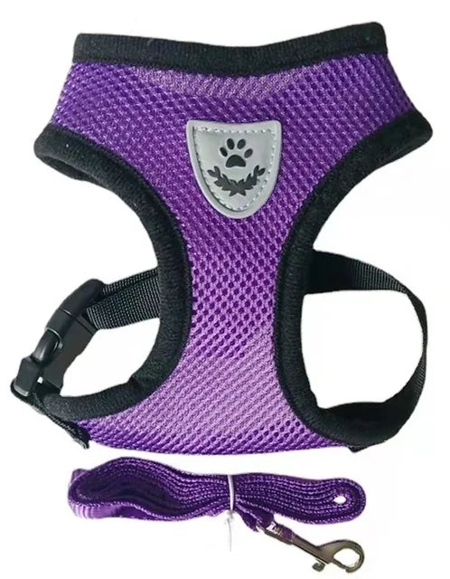 Harnais réfléchissant pour chien et chat avec laisse – Gilet réglable en maille respirante pour petits animaux de compagnie
