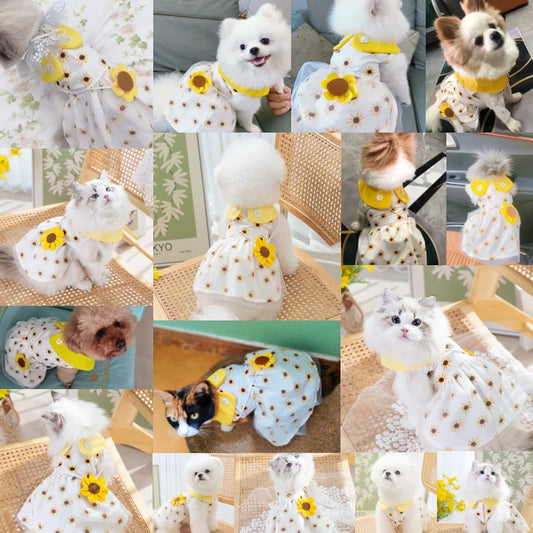 Bonito Vestido de Princesa para Perra con Lazo y Malla de Encaje, Falda de Verano para Mascotas para Caniche, Chihuahua, Cachorros y Perros Pequeños