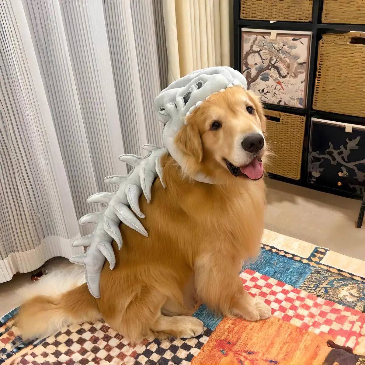 ZHAYA Dinosaur Skeleton Hat – Plush Tyrannosaurus Rex Bone Headpiece for Dogs & Cats, Adjustable Funny Photo Prop & Cosplay Costume