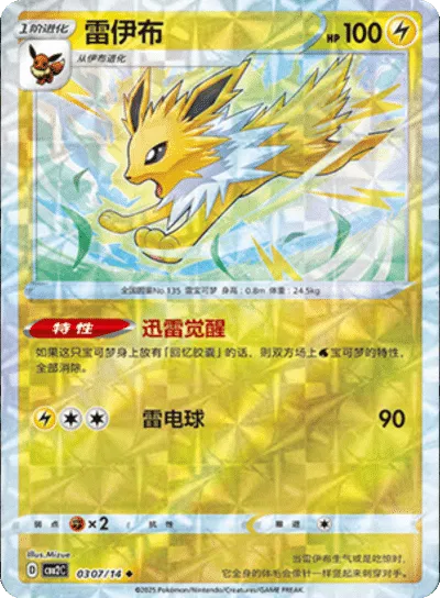 Jolteon (Rotary Pattern) (CN) 0307/14 - NM