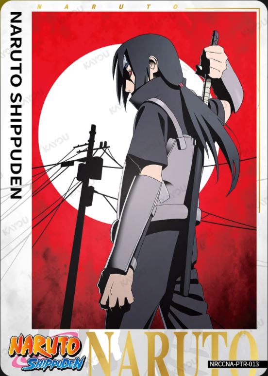 Itachi NRCCNA-PTR-013 NM