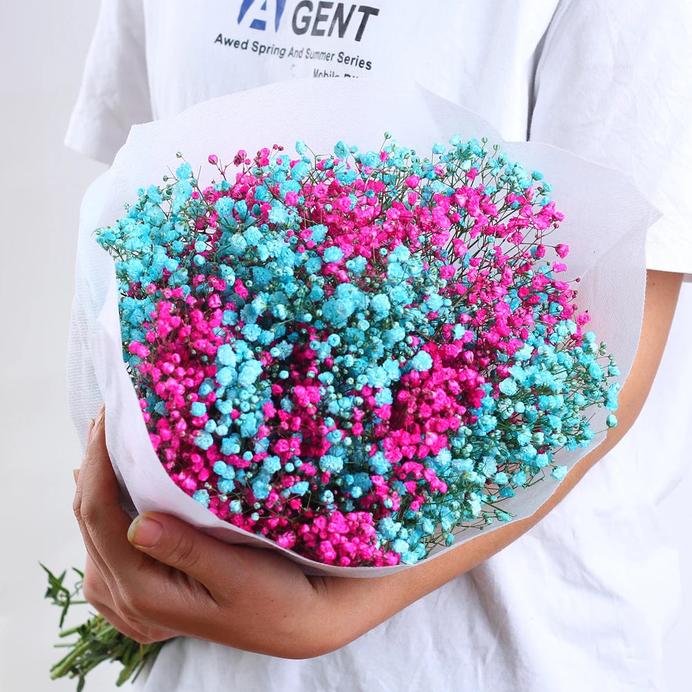 Flores de Paniculata Secas Naturales de 40-50cm – Ramo de Gypsophila Paniculata para Decoración de Bodas, Regalos y Decoración Floral del Hogar