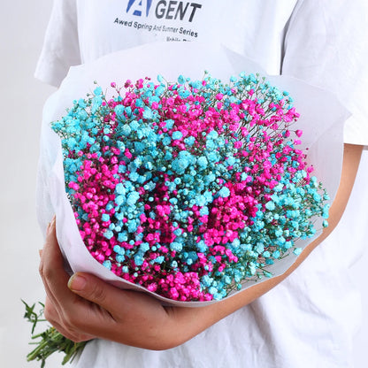Flores de Paniculata Secas Naturales de 40-50cm – Ramo de Gypsophila Paniculata para Decoración de Bodas, Regalos y Decoración Floral del Hogar