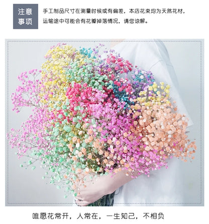 Flores de Paniculata Secas Naturales de 40-50cm – Ramo de Gypsophila Paniculata para Decoración de Bodas, Regalos y Decoración Floral del Hogar