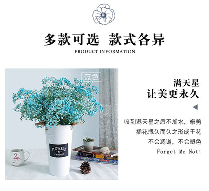 Flores de Paniculata Secas Naturales de 40-50cm – Ramo de Gypsophila Paniculata para Decoración de Bodas, Regalos y Decoración Floral del Hogar