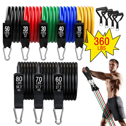 Juego de Bandas de Resistencia para Barra de Ejercicio – Expansor de Cuerda para Pilates y Yoga para Entrenamiento de Fuerza, Fisicoculturismo, Gimnasio en Casa y Ejercicios de Fitness
