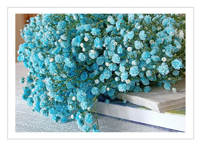 Flores de Paniculata Secas Naturales de 40-50cm – Ramo de Gypsophila Paniculata para Decoración de Bodas, Regalos y Decoración Floral del Hogar