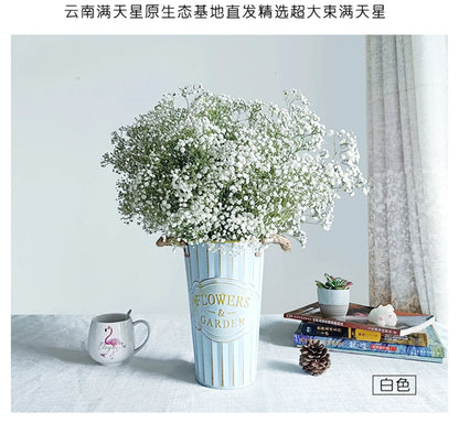 Flores de Paniculata Secas Naturales de 40-50cm – Ramo de Gypsophila Paniculata para Decoración de Bodas, Regalos y Decoración Floral del Hogar