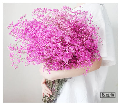 Flores de Paniculata Secas Naturales de 40-50cm – Ramo de Gypsophila Paniculata para Decoración de Bodas, Regalos y Decoración Floral del Hogar