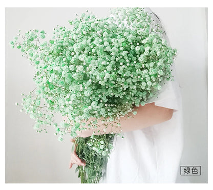 Flores de Paniculata Secas Naturales de 40-50cm – Ramo de Gypsophila Paniculata para Decoración de Bodas, Regalos y Decoración Floral del Hogar
