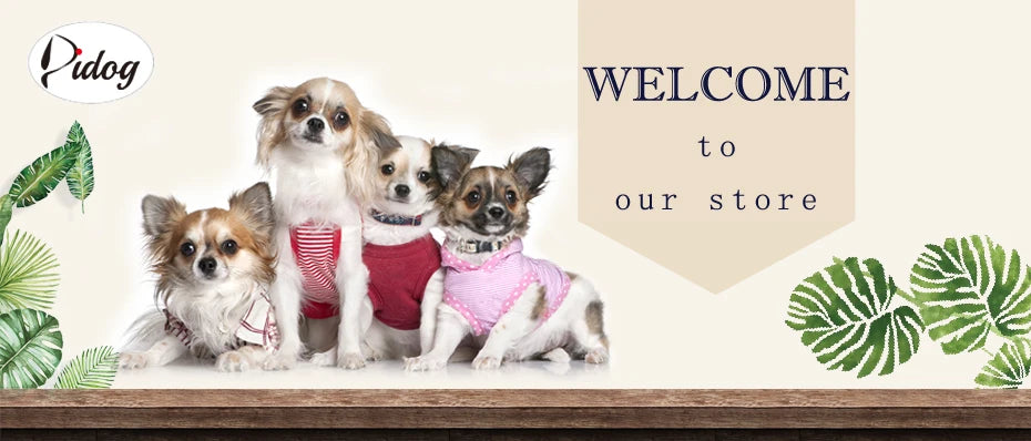 Collar de perro de piel sintética personalizado con placa de identificación grabada gratuita – Collar ajustable suave acolchado para perros pequeños, medianos y grandes
