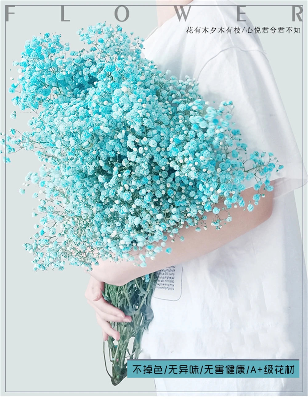 Flores de Paniculata Secas Naturales de 40-50cm – Ramo de Gypsophila Paniculata para Decoración de Bodas, Regalos y Decoración Floral del Hogar