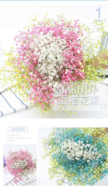 Flores de Paniculata Secas Naturales de 40-50cm – Ramo de Gypsophila Paniculata para Decoración de Bodas, Regalos y Decoración Floral del Hogar
