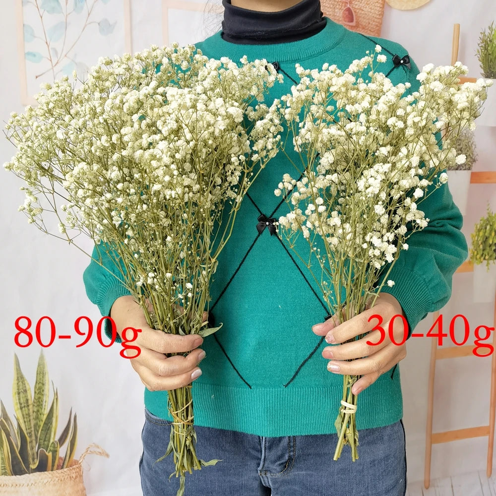 Flores de Paniculata Secas Naturales de 40-50cm – Ramo de Gypsophila Paniculata para Decoración de Bodas, Regalos y Decoración Floral del Hogar