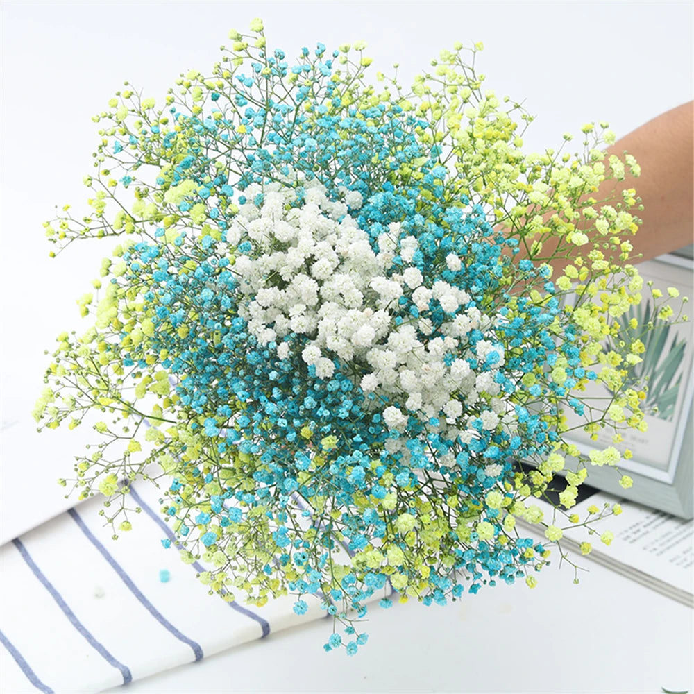 Flores de Paniculata Secas Naturales de 40-50cm – Ramo de Gypsophila Paniculata para Decoración de Bodas, Regalos y Decoración Floral del Hogar