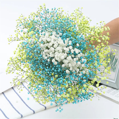 Flores de Paniculata Secas Naturales de 40-50cm – Ramo de Gypsophila Paniculata para Decoración de Bodas, Regalos y Decoración Floral del Hogar