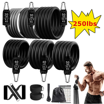 Juego de Bandas de Resistencia para Barra de Ejercicio – Expansor de Cuerda para Pilates y Yoga para Entrenamiento de Fuerza, Fisicoculturismo, Gimnasio en Casa y Ejercicios de Fitness