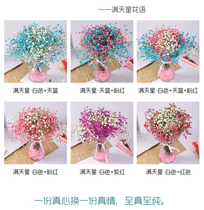 Flores de Paniculata Secas Naturales de 40-50cm – Ramo de Gypsophila Paniculata para Decoración de Bodas, Regalos y Decoración Floral del Hogar