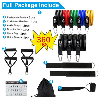 Juego de Bandas de Resistencia para Barra de Ejercicio – Expansor de Cuerda para Pilates y Yoga para Entrenamiento de Fuerza, Fisicoculturismo, Gimnasio en Casa y Ejercicios de Fitness