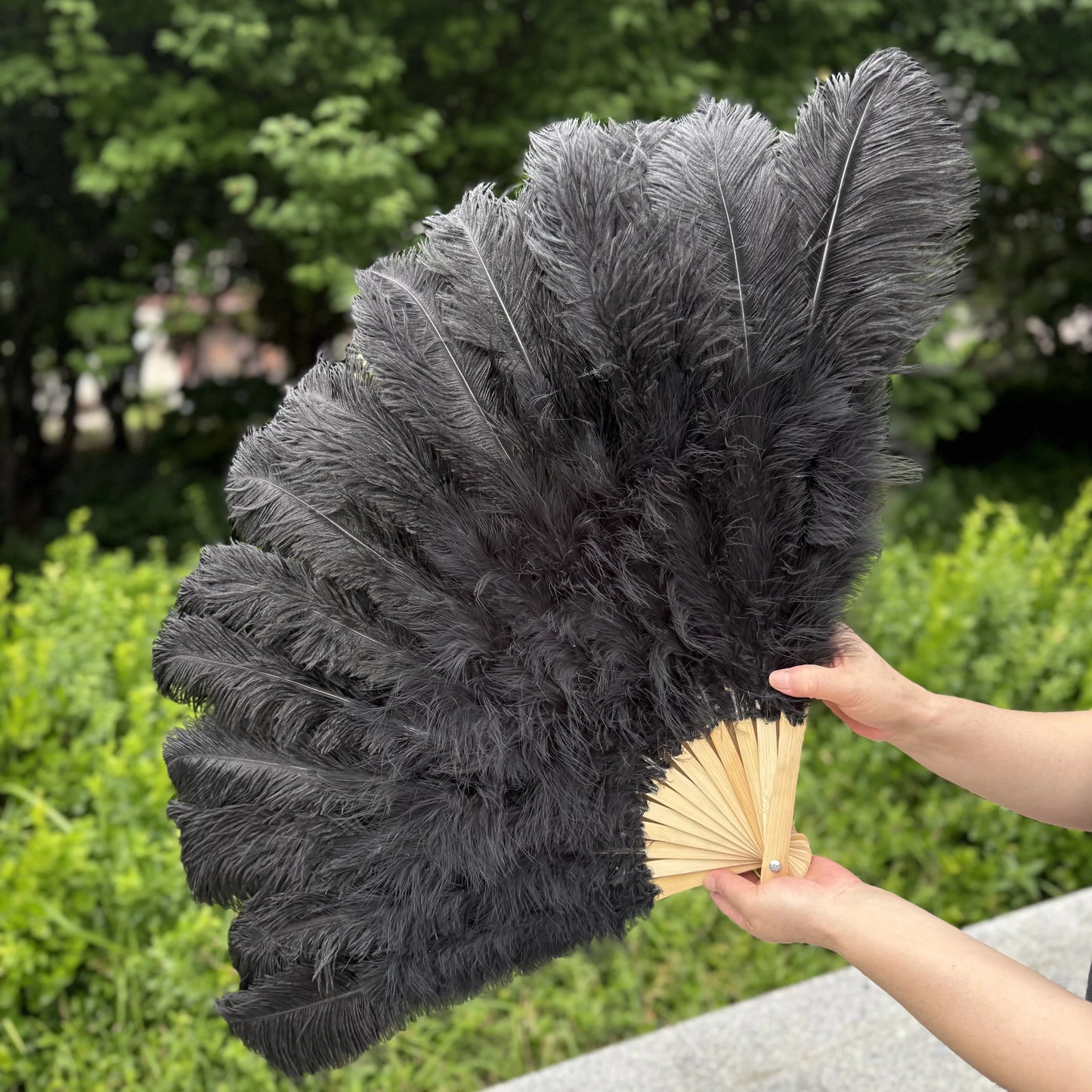 Abanico Grande de Plumas de Avestruz Blancas – Elegante Abanico para Baile y Actuaciones Escénicas (100 cm / 130 cm)