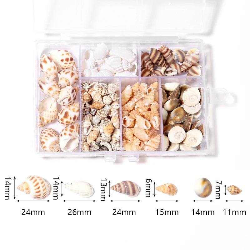 1 Box Tiny Sea Shells – Natural Spiral Seashell & Mini Conch Craft Pieces for Aquarium Decoration, Landscaping, DIY Crafts & Photography Props