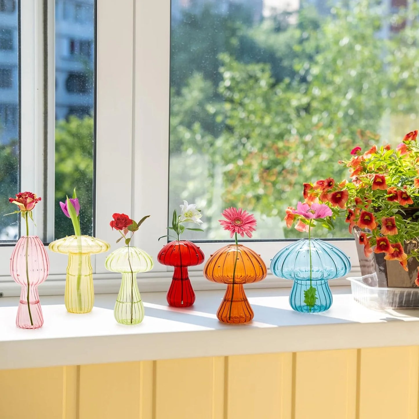 Mini Mushroom Glass Vase Set – Propagation Terrarium for Plants, Flowers & Home Office Décor