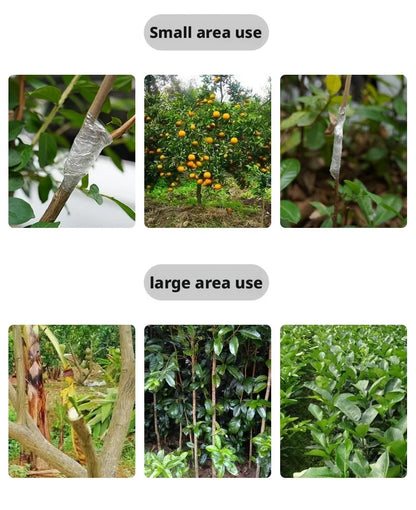 Película de cinta de injerto de PE de 200M – Cinta de injerto autoadhesiva para árboles frutales, plántulas de vivero, vides, tomates, floristería y suministros de jardinería