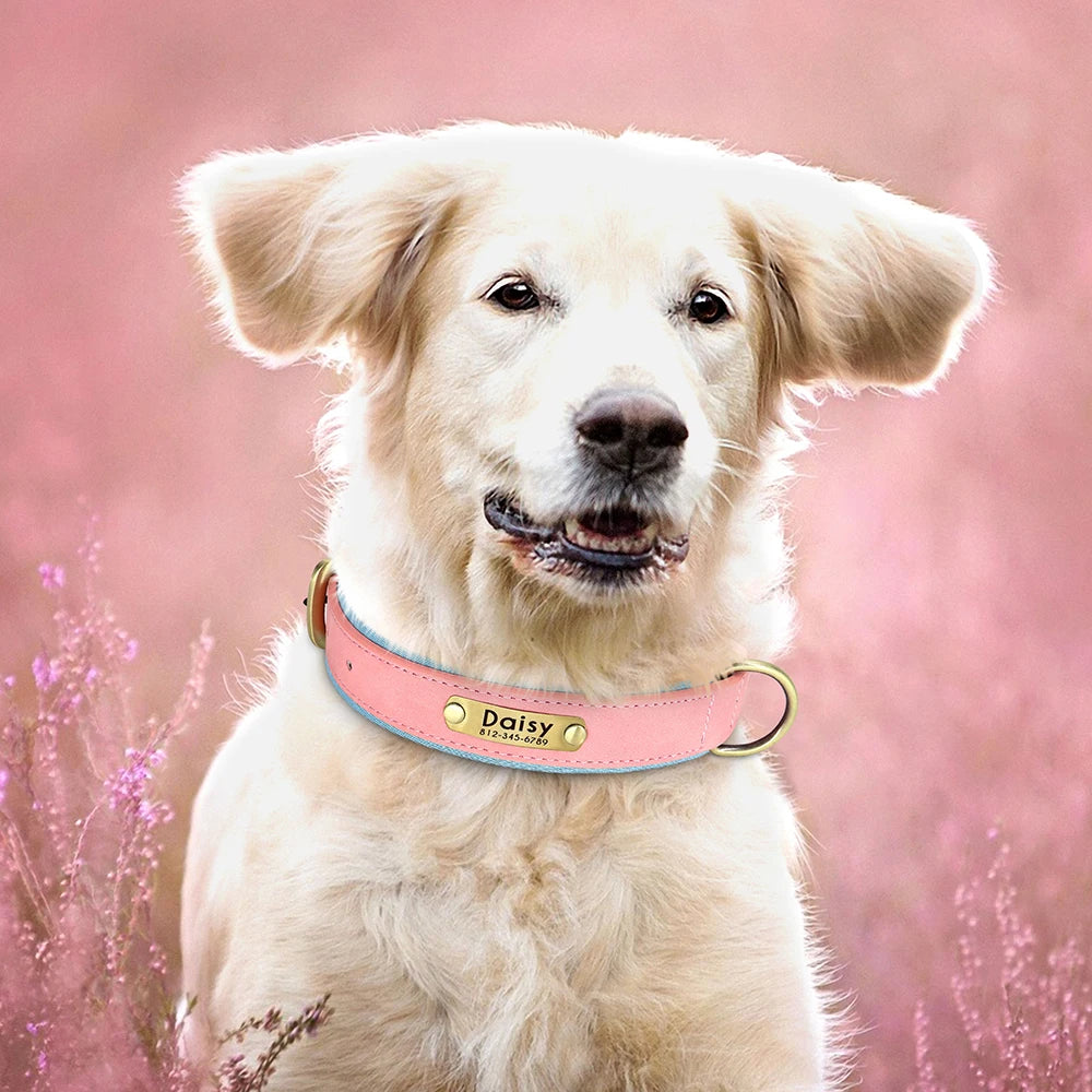 Collar de perro de piel sintética personalizado con placa de identificación grabada gratuita – Collar ajustable suave acolchado para perros pequeños, medianos y grandes