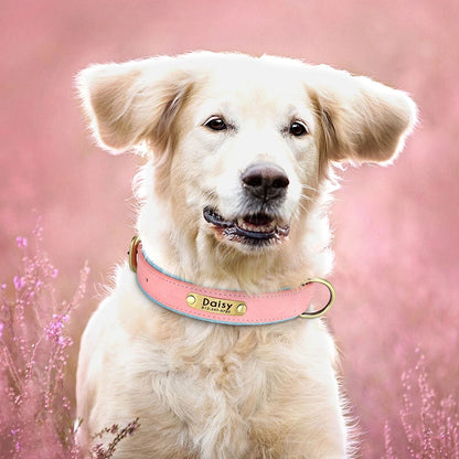 Collar de perro de piel sintética personalizado con placa de identificación grabada gratuita – Collar ajustable suave acolchado para perros pequeños, medianos y grandes