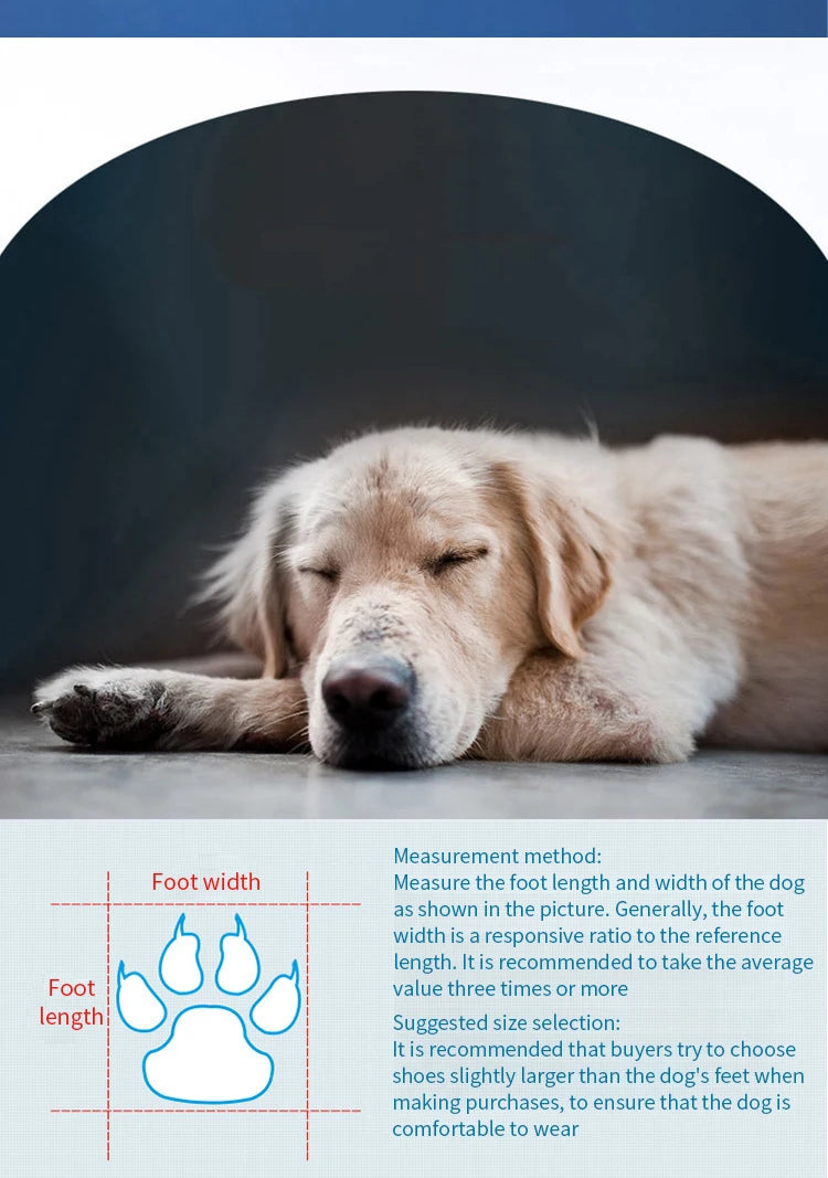 Bottes de pluie imperméables pour chien (lot de 4) – Chaussures antidérapantes pour petits chiens, chiots et chats