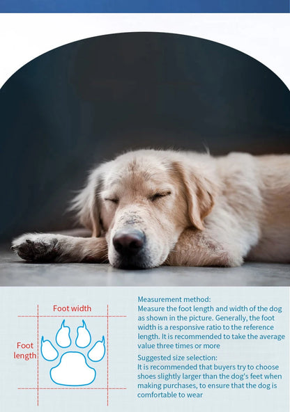Bottes de pluie imperméables pour chien (lot de 4) – Chaussures antidérapantes pour petits chiens, chiots et chats