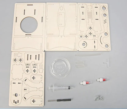 Kit d'expériences scientifiques à faire soi-même pour enfants – Jouet éducatif STEM, ensemble d'apprentissage scientifique pratique, projet artisanal d'assemblage technologique pour étudiants, cadeau d'apprentissage créatif