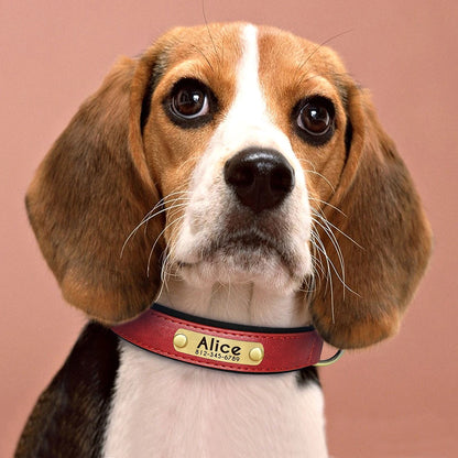 Collar de perro de piel sintética personalizado con placa de identificación grabada gratuita – Collar ajustable suave acolchado para perros pequeños, medianos y grandes