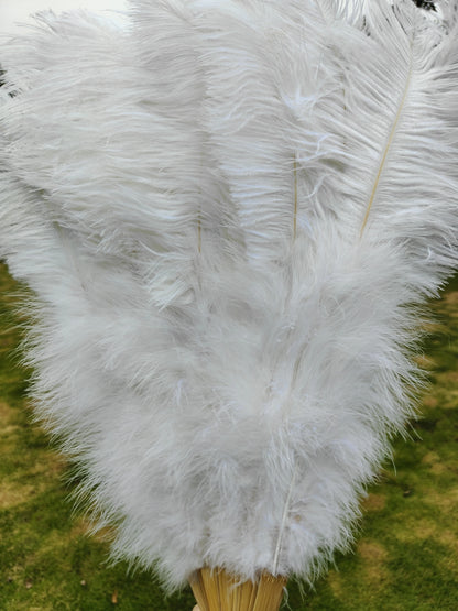 Abanico Grande de Plumas de Avestruz Blancas – Elegante Abanico para Baile y Actuaciones Escénicas (100 cm / 130 cm)