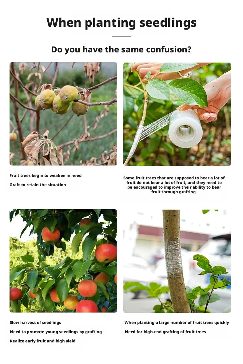 Película de cinta de injerto de PE de 200M – Cinta de injerto autoadhesiva para árboles frutales, plántulas de vivero, vides, tomates, floristería y suministros de jardinería