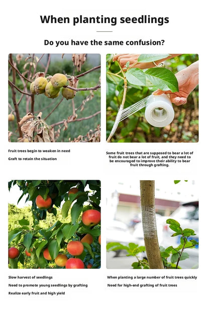 Película de cinta de injerto de PE de 200M – Cinta de injerto autoadhesiva para árboles frutales, plántulas de vivero, vides, tomates, floristería y suministros de jardinería