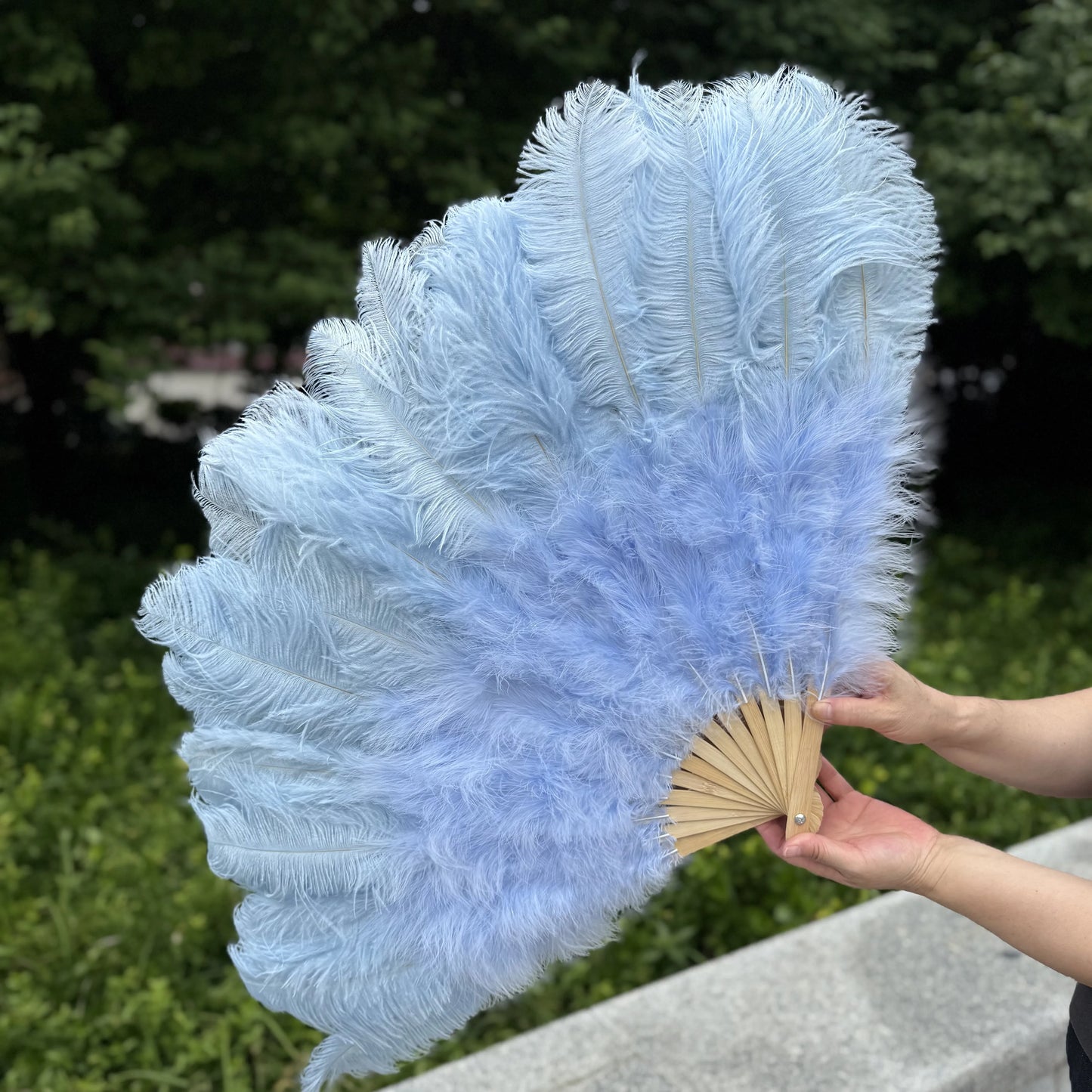 Abanico Grande de Plumas de Avestruz Blancas – Elegante Abanico para Baile y Actuaciones Escénicas (100 cm / 130 cm)
