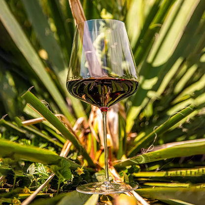JINYOUJIA 765ml Ultra Thin Crystal Bordeaux Red Wine Glass, 0.4mm Handmade Wine Goblet, Elegant Zalto Style Wine Drinking Cup
