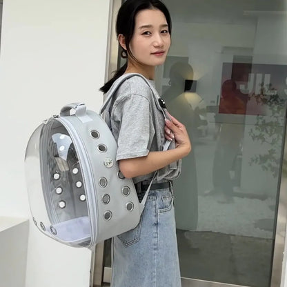 Transparent Bird Carrier Backpack – Portable Birdcage with Perch Platform & Food Cup for Parrots, Cockatiels, Budgies & Lovebirds