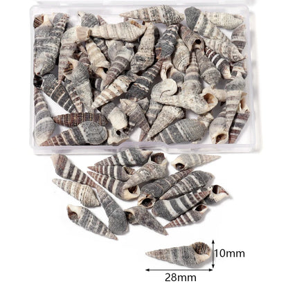 1 Box Tiny Sea Shells – Natural Spiral Seashell & Mini Conch Craft Pieces for Aquarium Decoration, Landscaping, DIY Crafts & Photography Props