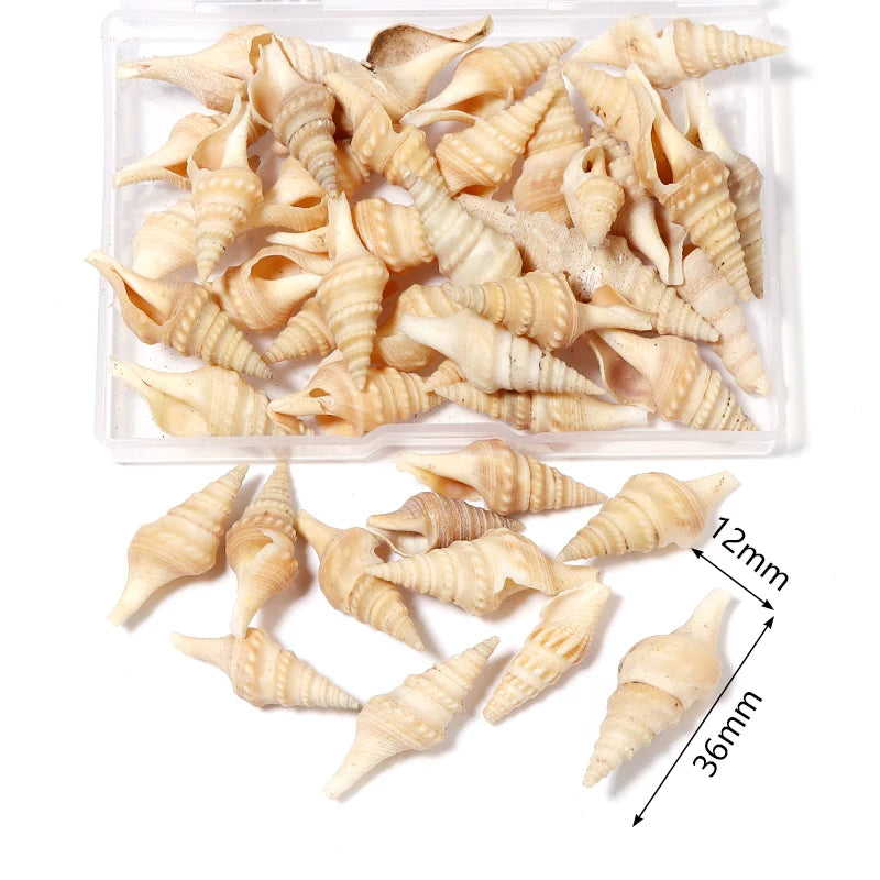 1 Box Tiny Sea Shells – Natural Spiral Seashell & Mini Conch Craft Pieces for Aquarium Decoration, Landscaping, DIY Crafts & Photography Props
