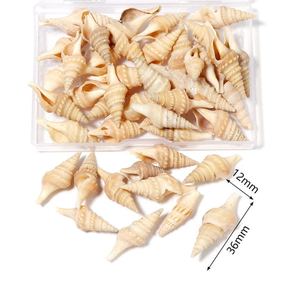 1 Box Tiny Sea Shells – Natural Spiral Seashell & Mini Conch Craft Pieces for Aquarium Decoration, Landscaping, DIY Crafts & Photography Props