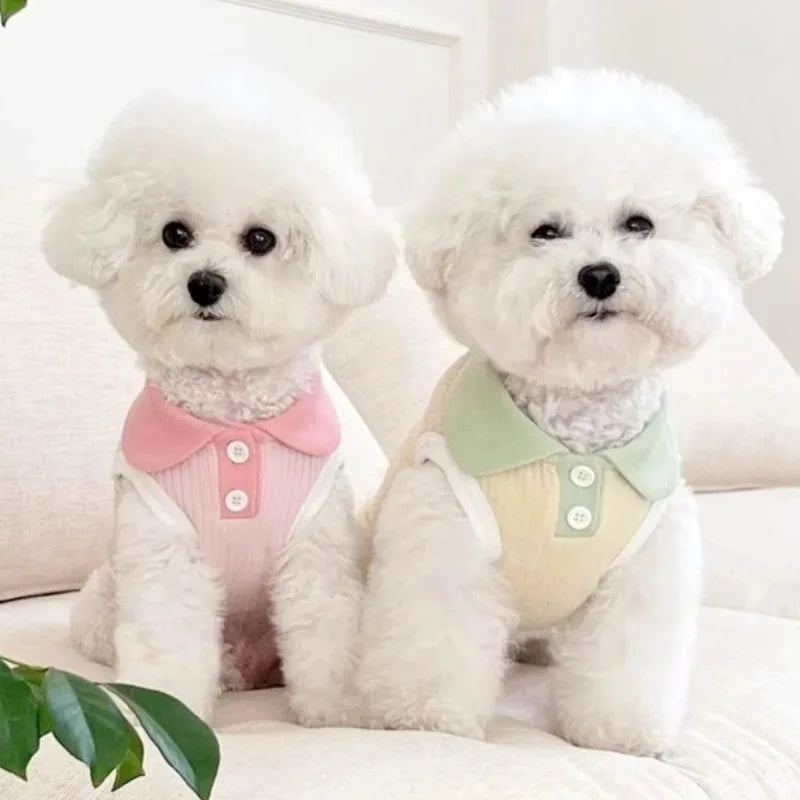 Camiseta de verano para perros, ligera, para cachorros, ropa transpirable para mascotas, camiseta para perros pequeños, ropa de primavera para perros