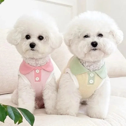 Camiseta de verano para perros, ligera, para cachorros, ropa transpirable para mascotas, camiseta para perros pequeños, ropa de primavera para perros