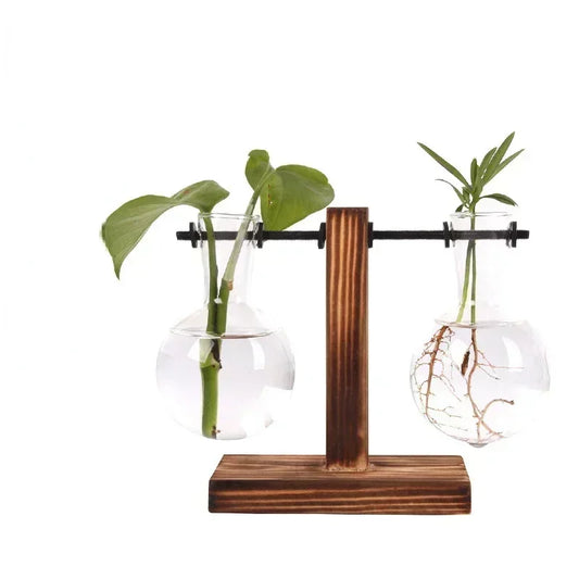 Jarrón de cristal para terrario de plantas hidropónicas – Macetero de escritorio para el hogar, la oficina y decoración de zonas verdes interiores