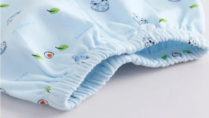 5PCS Baby Hedgehog Clothing Set – Pure Cotton Newborn Underwear Outfit for 0–3 Months Spring & Autumn